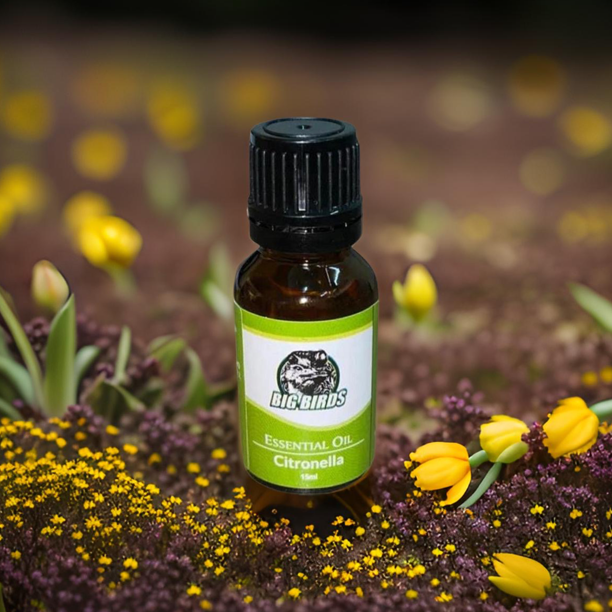 Citronella Essential Oil 15ml (Diluted with Extra virgin Olive Oil)