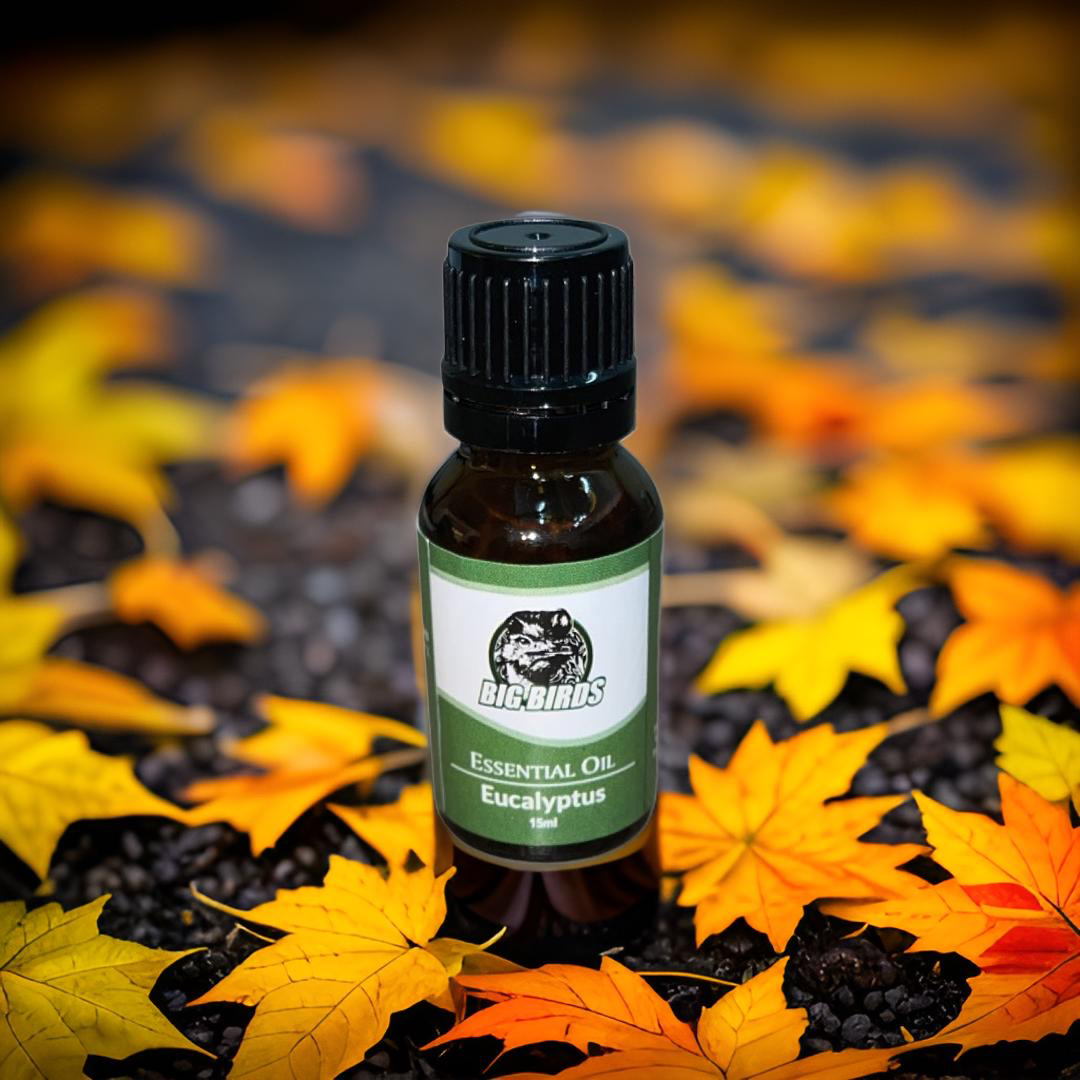 Eucalyptus essential Oil 15 ml (Diluted With Extra Virgin Olive Oil)