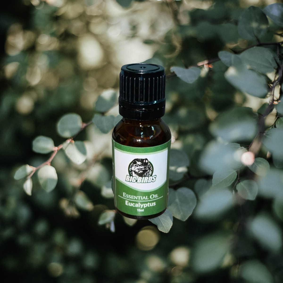 Eucalyptus essential Oil 15 ml (Diluted With Extra Virgin Olive Oil)