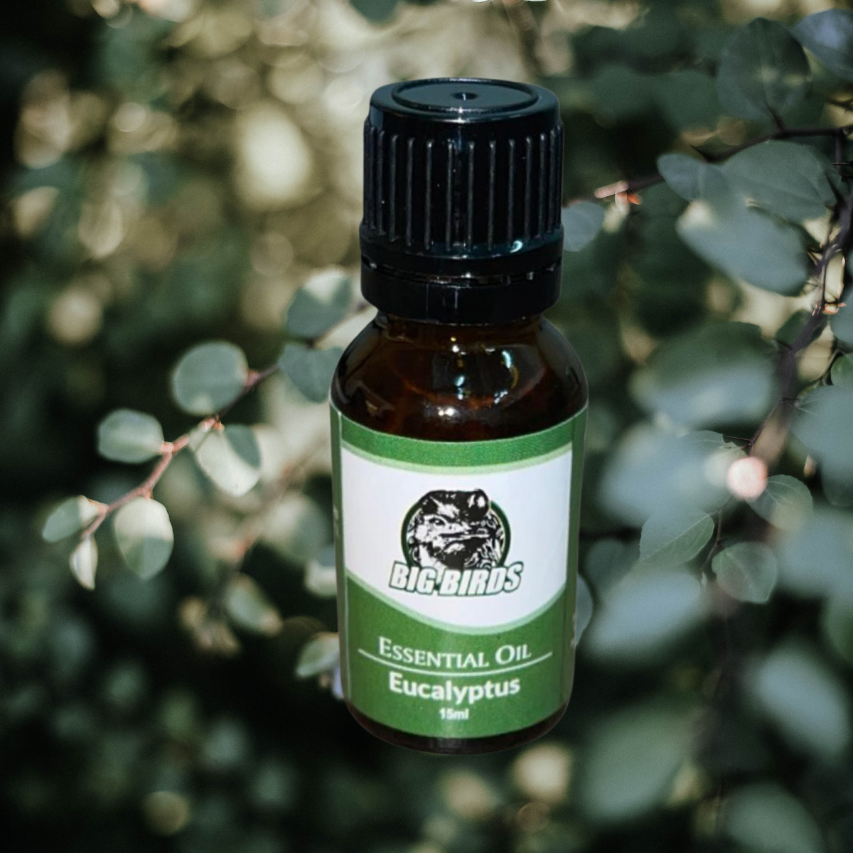 Eucalyptus essential Oil 15 ml (Diluted With Extra Virgin Olive Oil)