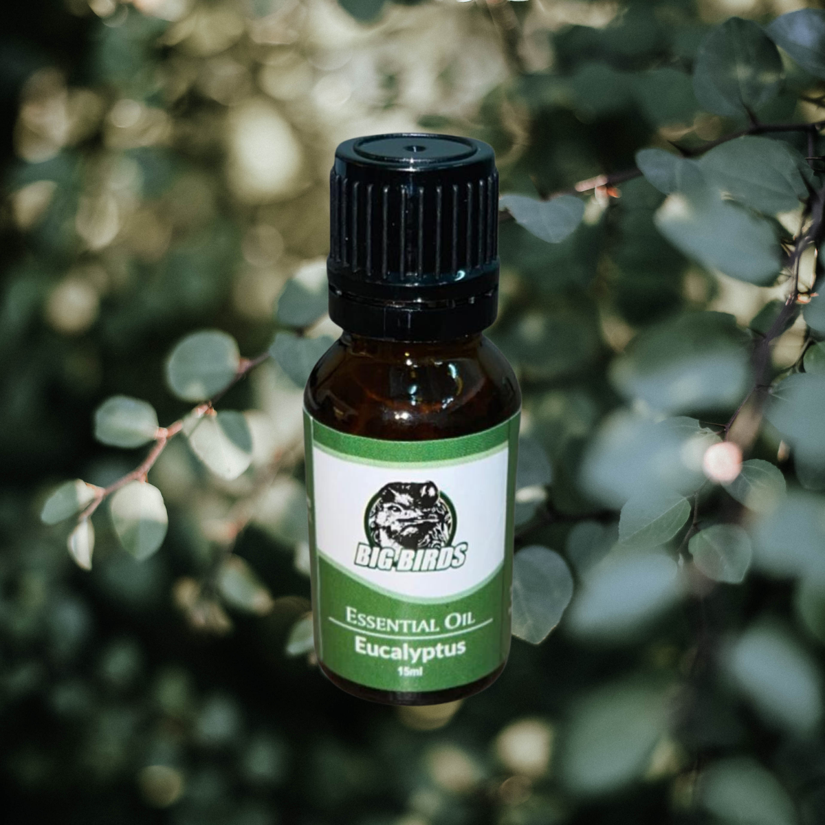 Eucalyptus essential Oil 15 ml (Diluted With Extra Virgin Olive Oil)